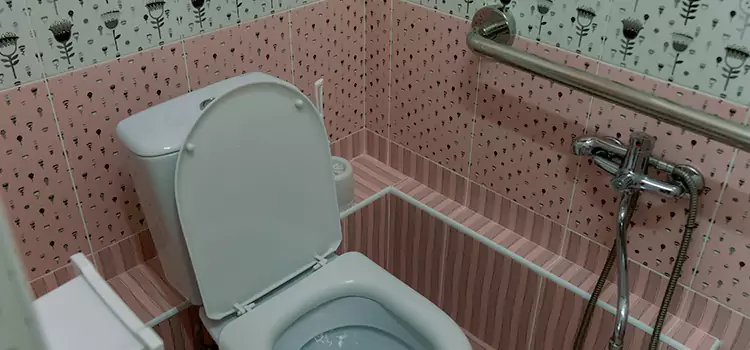 Meeting Diverse Needs With Accessible Restroom Solutions in Port Huron, MI