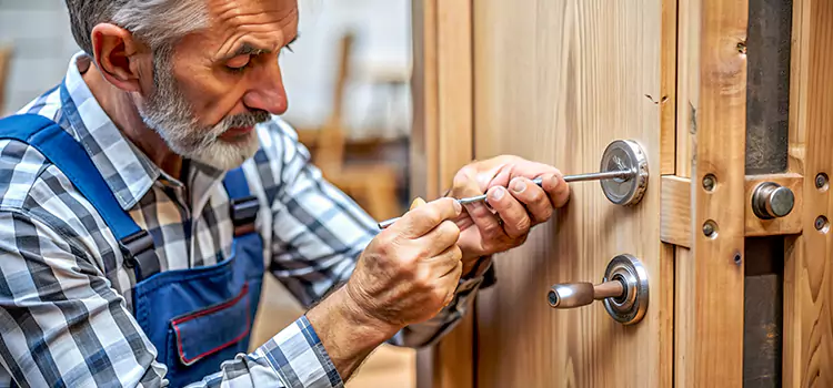 Mortise Replacement Lock Port Huron