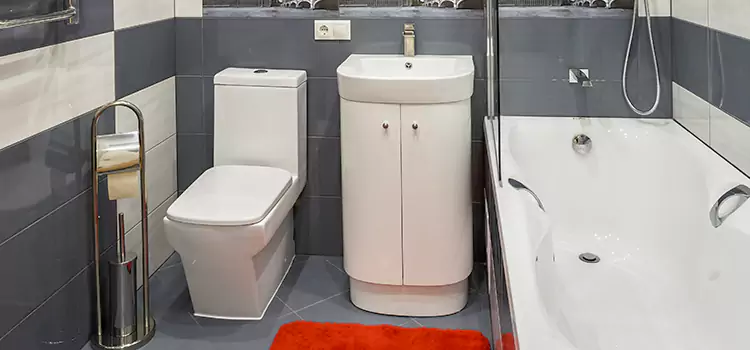 Hansgrohe Shaving Mirror Port Huron