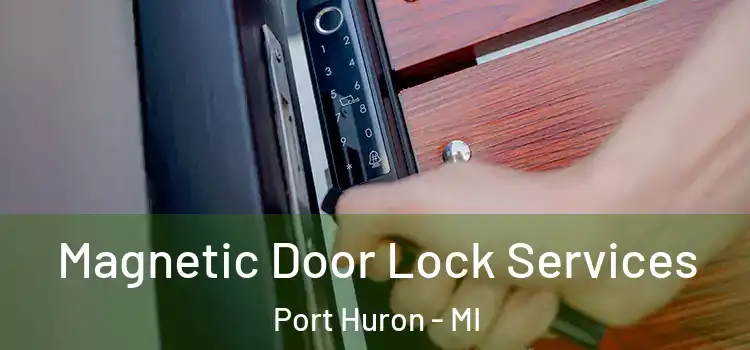  Magnetic Door Lock Services Port Huron - MI